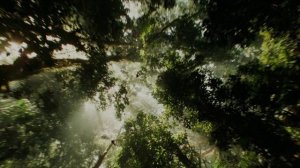 тень вековых стволов - авторская песня, творчество нейросетей