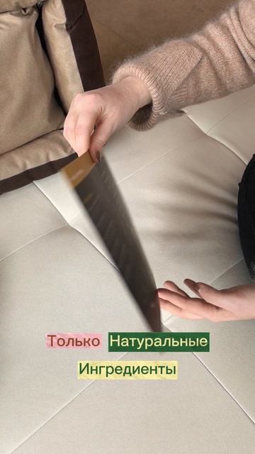 Проживание с животными в отелях