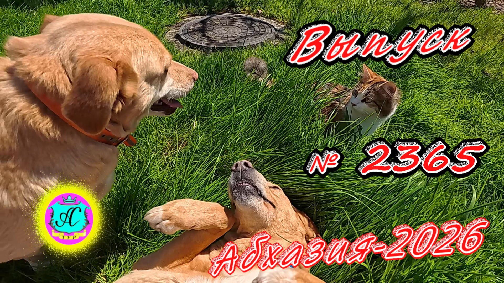 #Абхазия2026🌴 13.04.26г.🔥 Выпуск № 2365❗вчера +15°🌡ночью +8°🌡море +12°🐬