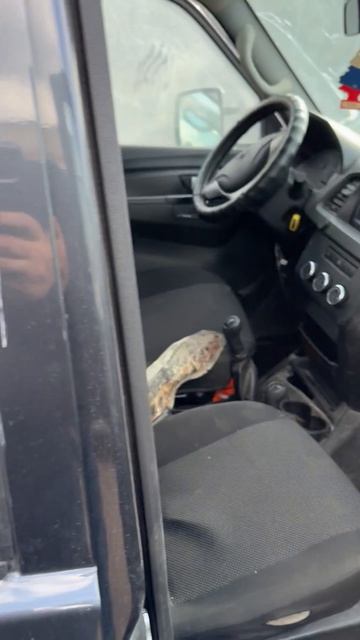 Уаз профи 2023