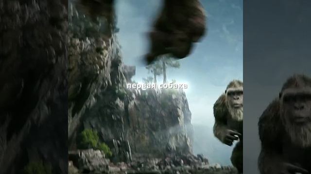 фильм на вечер