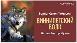 «ВИННИПЕГСКИЙ ВОЛК». Эрнест Сетон-Томпсон. Аудиокнига
