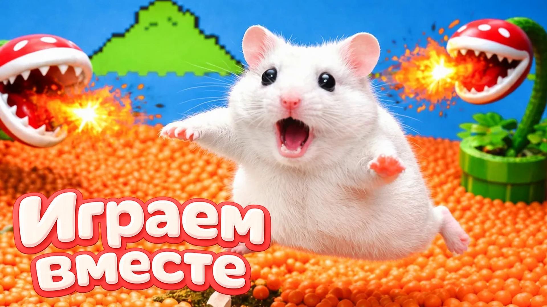 ЛАБИРИНТ С ЛОВУШКАМИ ДЛЯ УМНОГО ХОМЯКА 🐹 ВИДЕО ПРО ХОМЯКА ДЛЯ ДЕТЕЙ 💖 часть 2