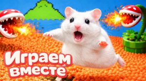 ЛАБИРИНТ С ЛОВУШКАМИ ДЛЯ УМНОГО ХОМЯКА 🐹 ВИДЕО ПРО ХОМЯКА ДЛЯ ДЕТЕЙ 💖 часть 2