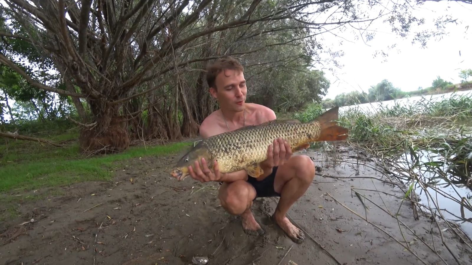 САЗАН, РАКИ, ЖОР 