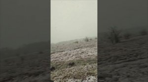 Лысогорский район.  Командировка 9 апреля 2026. Часть 1