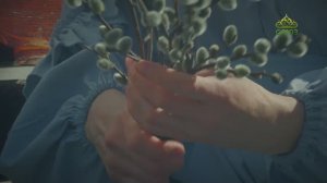 Я поддерживаю «Союз»