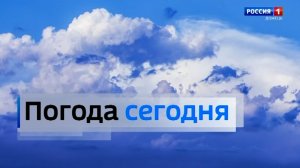 Погода в Донецкой Народной Республике 13 апреля