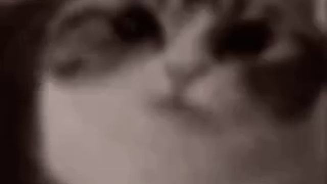 Пусть будет