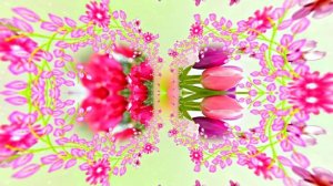 Весна! Очаровательные тюльпаны 3! Киностудия Мудрого Кота Тимофея!