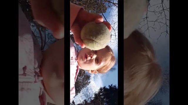 Влог и прогулка с риборном Мишей