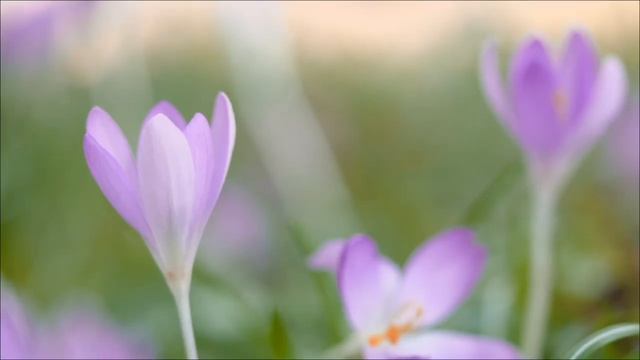 Страшное Пророчество о том, что начнётся после Пасхи 2026 года.