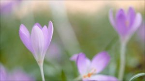 Страшное Пророчество о том, что начнётся после Пасхи 2026 года.