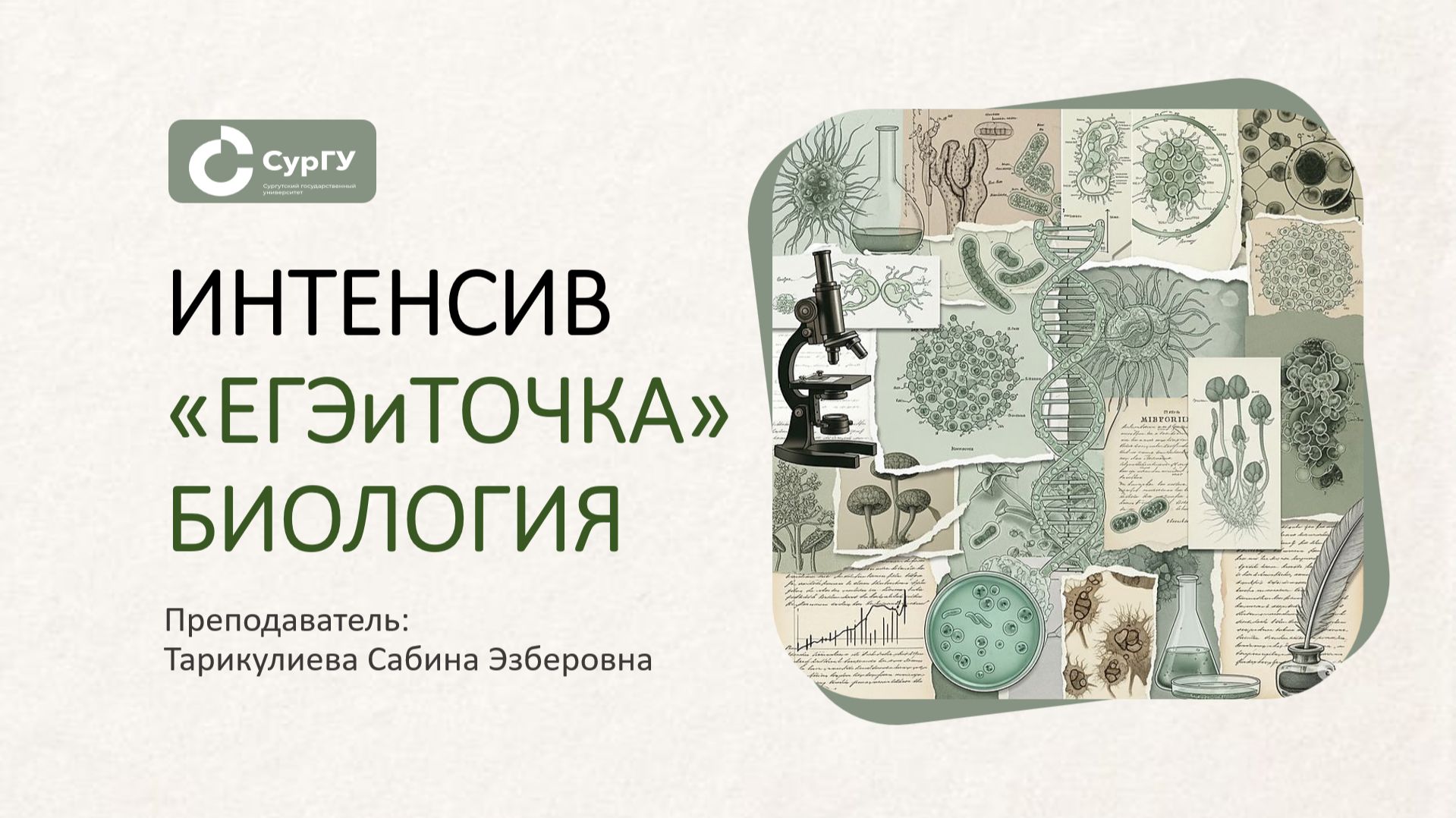 Ботаника. Часть 3. Вегатативные органы высших растений