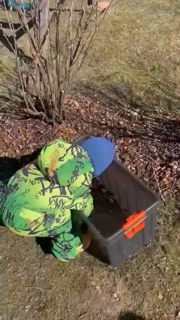 семья Рожновых