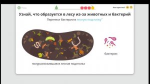 Жизнь леса. Окружающий мир - 4 класс / Учи.ру.