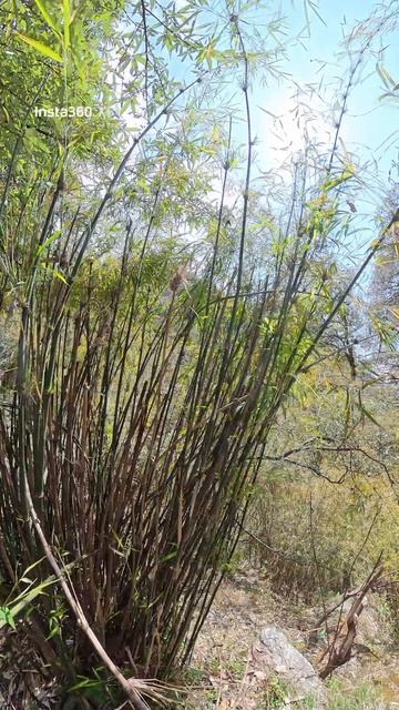 поход на горячие источники 6