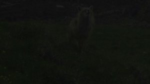 Каякинг по Алеутским островам