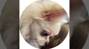 Какие сообщения мы отправляем) Всех надо показать и про всех рассказать. Они - наша семья ❤️