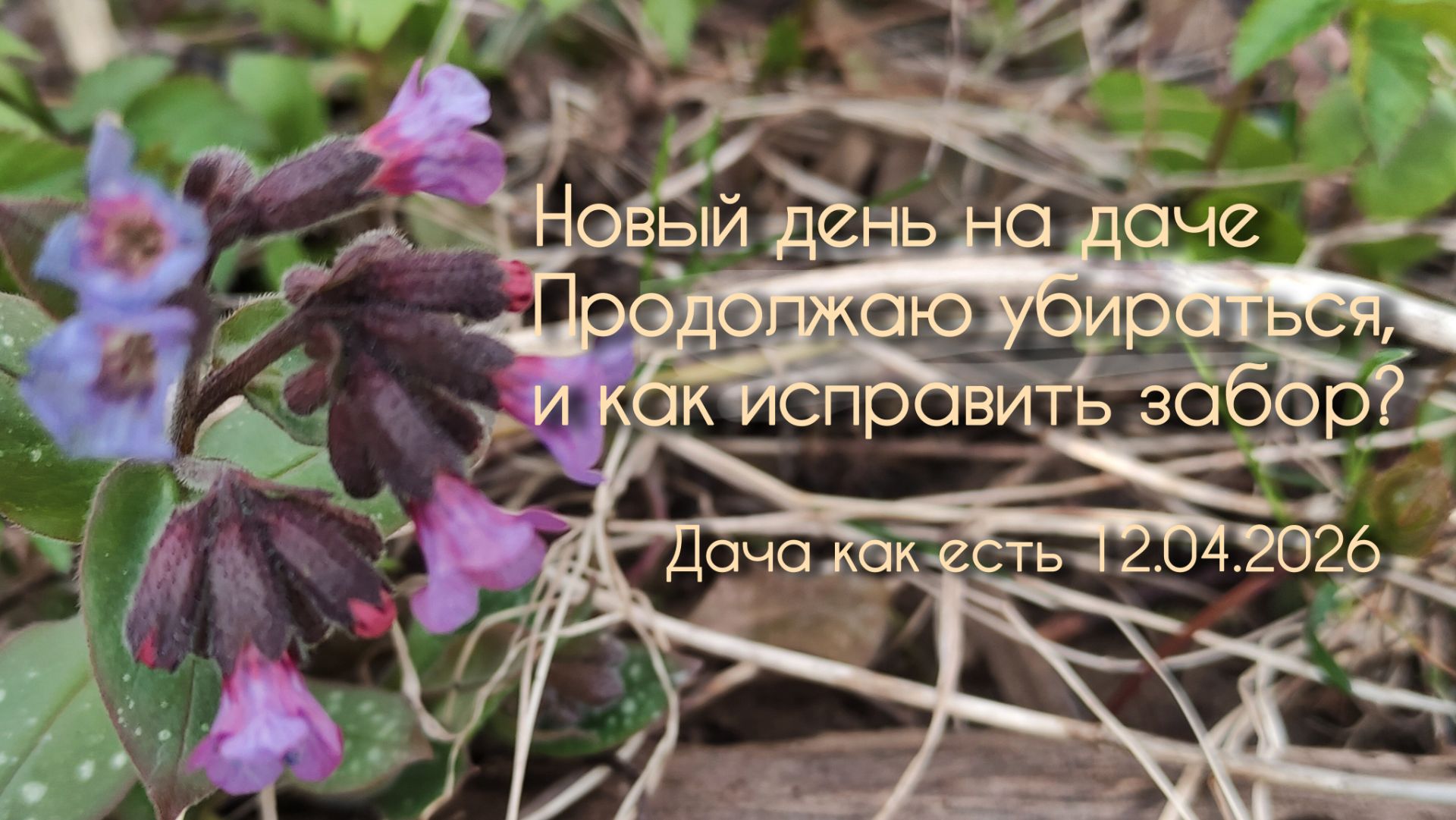 Новый день, новые заботы: уборка сада и уставший забор / Дача как есть 12.04.2026