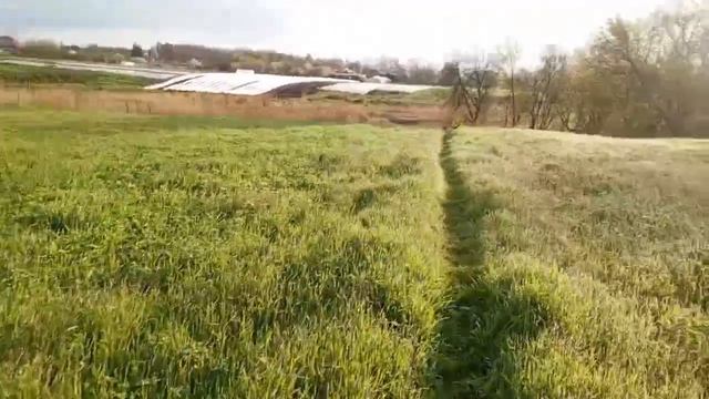 Скоро сенокос