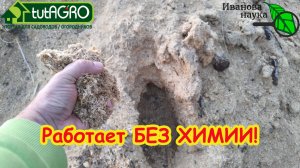 Чистые ГРЯДКИ БЕЗ ПРОПОЛКИ: один весенний секрет. Сорняков больше не будет: главное весеннее дело.