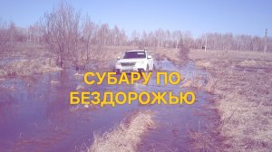 Субару по бездорожью #субару #subaru #offroad #оффроуд #машинапогрязи #грязь #Forester #застряли