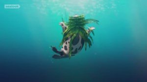 The Secret Life of SealsㅣSEALOOKㅣEpisode Compilation