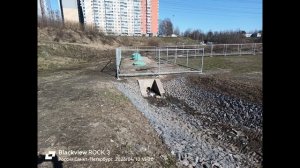 Примеры с камер Blackview Rock 3