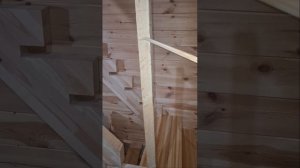 1000055930.mp4 (Собака наблюдает за устройством лестницы на 2-ой этаж в доме А-фрейм)