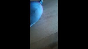 1000004992.mp4