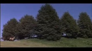 Серена Вергано И Рафаэль В Фильме Пусть Говорят 1968