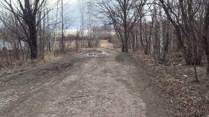 Прогулка по окраине Биробиджана 2026г апрель