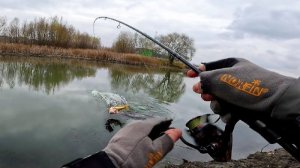 Залив кишит голодной щукой! Смотрите, как её поймать. Рыбалка на спиннинг с берега.