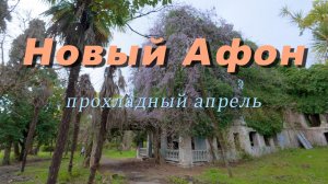 Афон холодный апрель