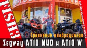 Как выбрать SEGWAY AT10: W или MUD? Гид покупателя 2026
