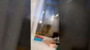 поговорим о самом важном.