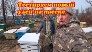 ДЯТЕЛ РАЗДОЛБАЛ УЛЬЯ, РЕМОНТИРУЕМ И ПОЛУЧИЛИ ПОСЫЛКУ С НОВЫМ УЛЬЕМ ИЗ СЕНГВИЧ ПАНЕЛЕЙ.