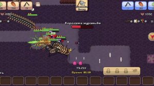 покет антс битвы