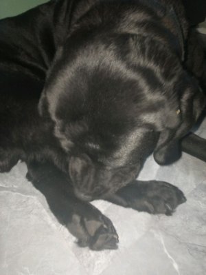 танцы танцы танцы танцы танц танц танц танц танцы танцы танцули