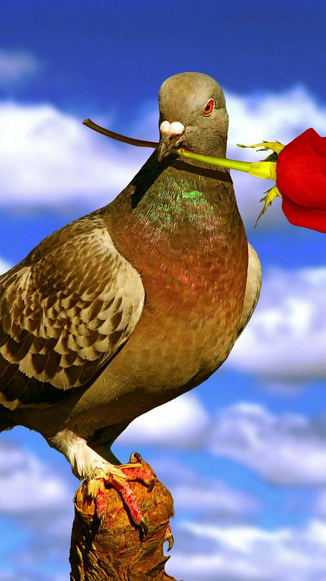 Кратковременная встреча.