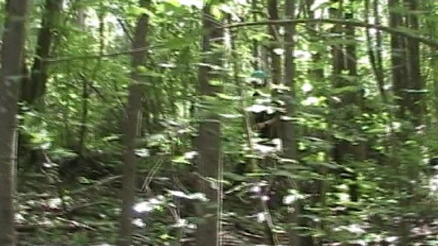 РС Брянск 2009