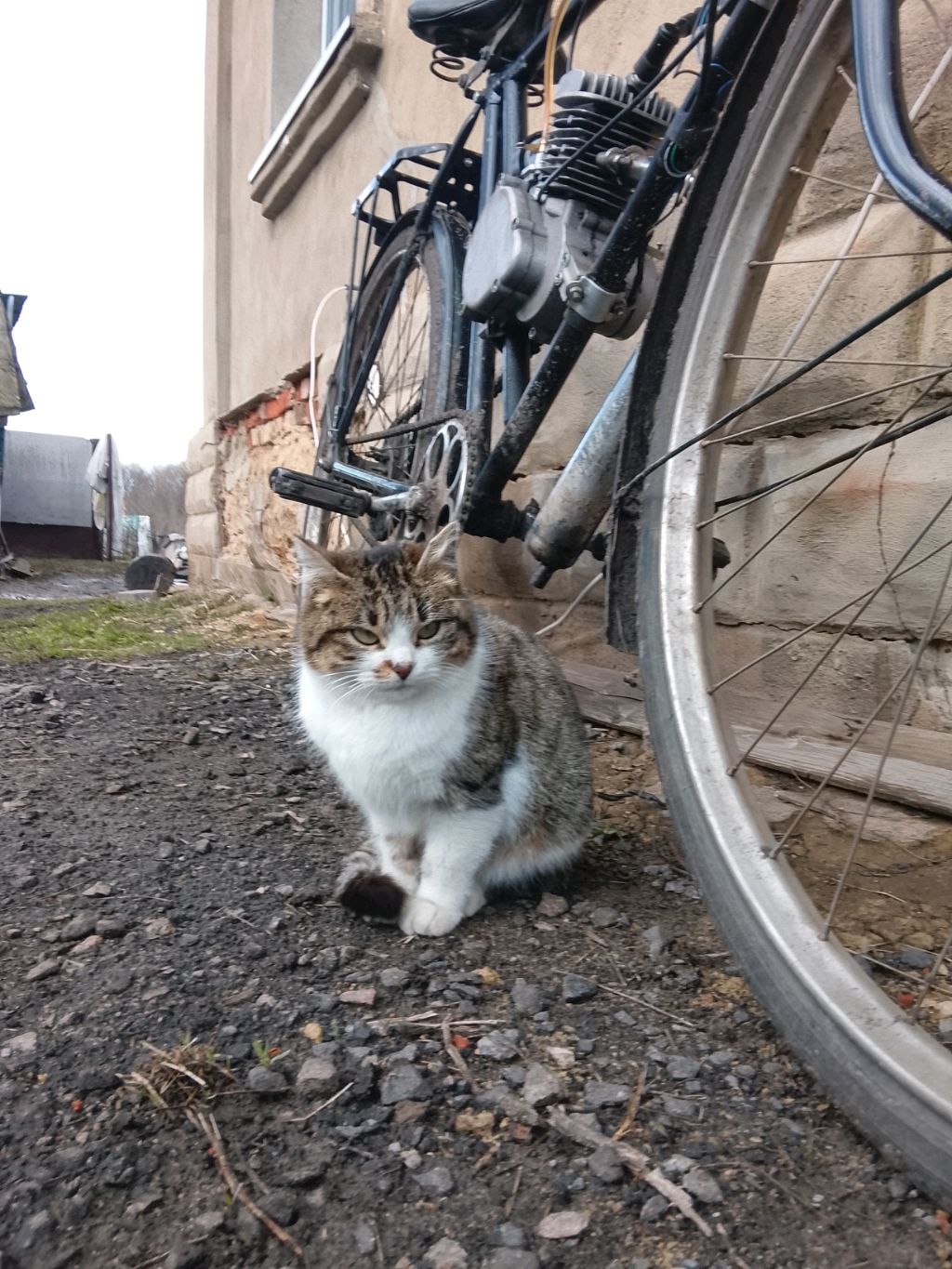 гоняем на F50 без сцепления