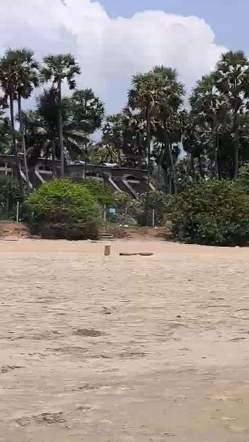 Одна загораю и купаюсь на пляже Индийского океана