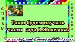 Так и будем изучать части  сада В.Железова.