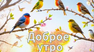 Доброе утро: красивые открытки, лучшие пожелания доброго весеннего утра | Домохозяйка Ната