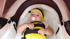 Влад и Ники - Детские истории о пчёлах и правилах безопасности в бассейне