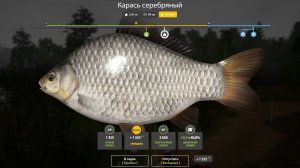 КАРАСЬ СЕРЕБРЯНЫЙ!!!КОМАРИНОЕ - РУССКАЯ РЫБАЛКА 4