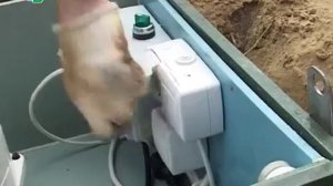 ЭкоРусь. ТВ ПРОГРАММА: Потребитель хочет знать! 8-925-50-777-25