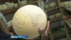 Пищевая промышленность Ставрополья увеличила отгрузку своей продукции